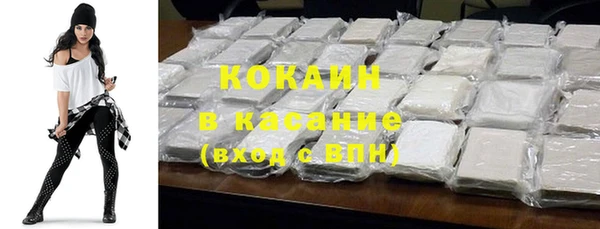 гидра Богданович
