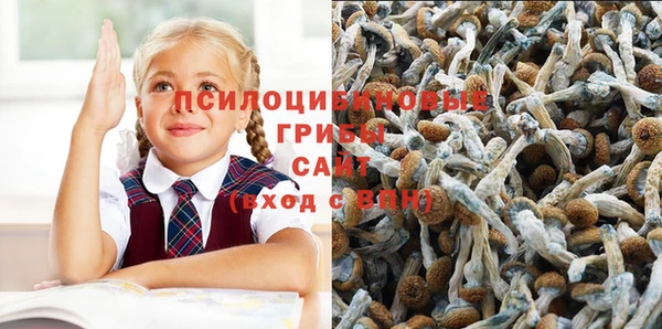 соль курить ск Богородицк
