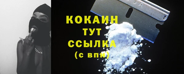 гидра Богданович