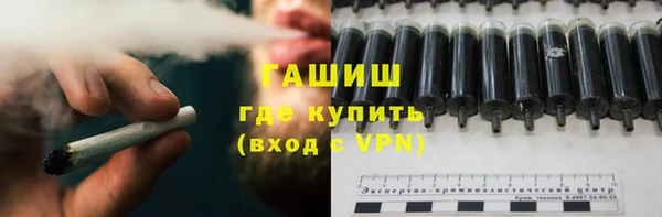 гидра Богданович