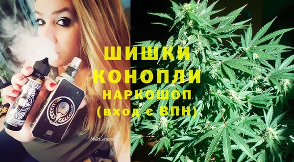 гидра Богданович