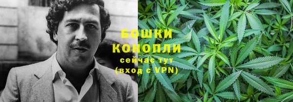 гидра Богданович