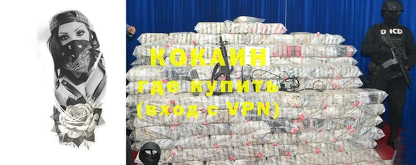 гидра Богданович