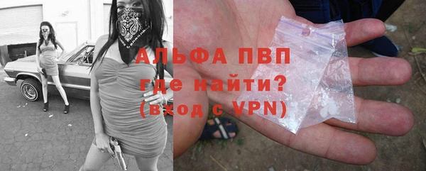 гидра Богданович