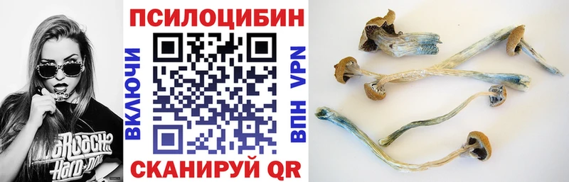 Псилоцибиновые грибы прущие грибы  Минеральные Воды 