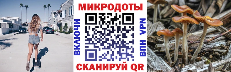 Псилоцибиновые грибы Psilocybe Минеральные Воды